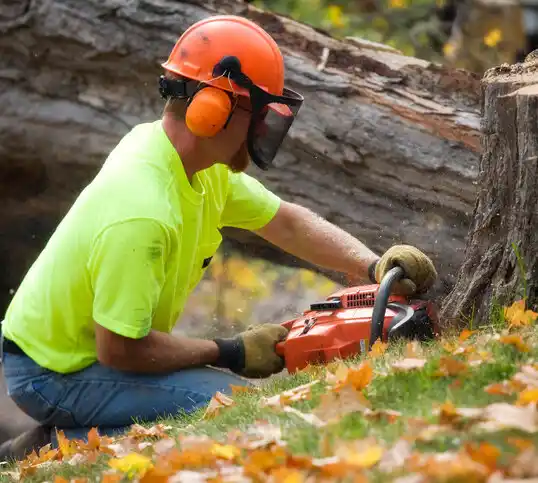 tree services Montana City